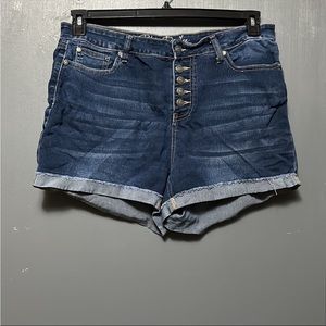 Plus Size Denim Shorts 14W